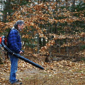 3 popular leaf blowers to clean up your yard with ease