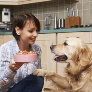 How To Treat Food Allergy Problems Of Dogs