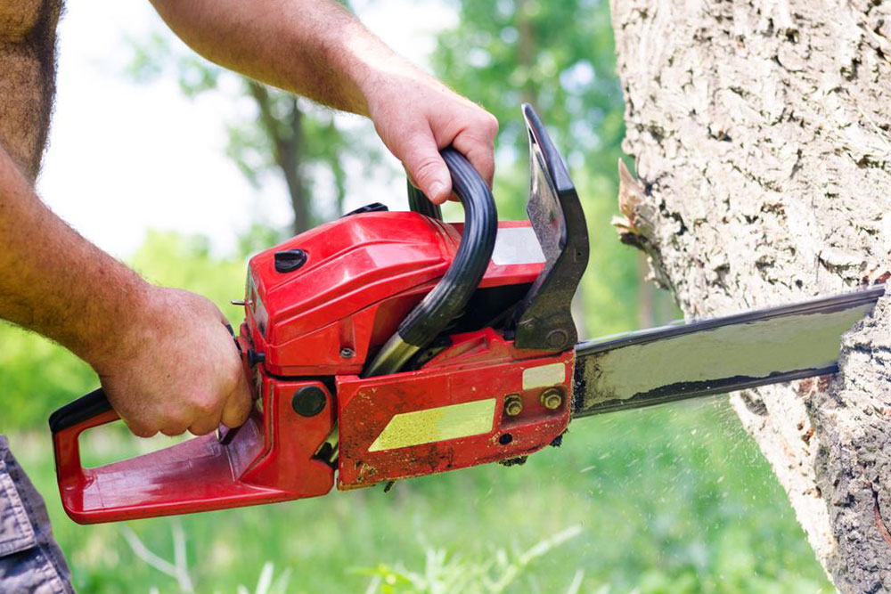 Introduction to chainsaws and STIHL chainsaws