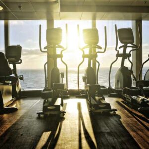 Top 6 Elliptical Machines of 2018