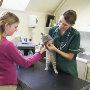 Understanding Vaccination Coverage In Pet Insurance Policies