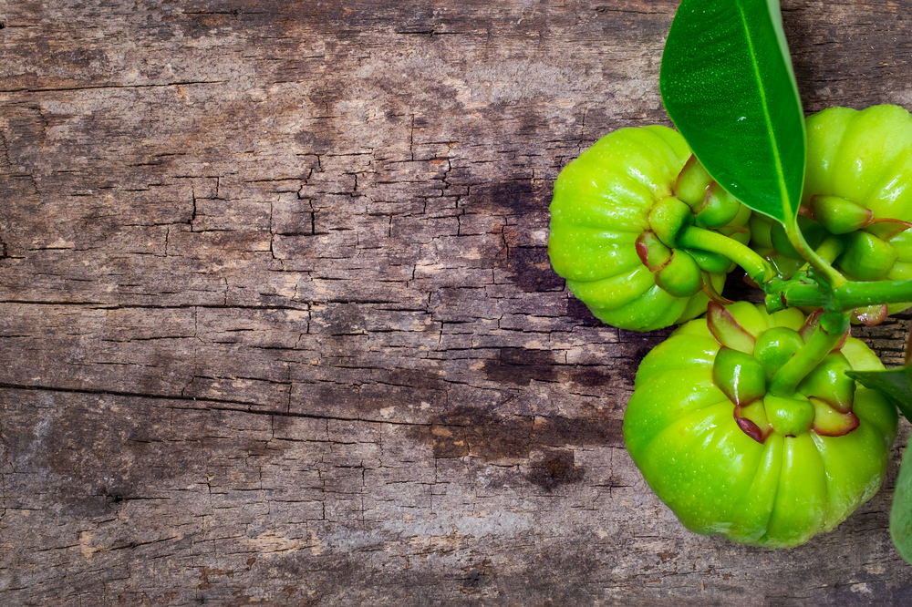 4 Commonly Asked Questions About Garcinia Cambogia