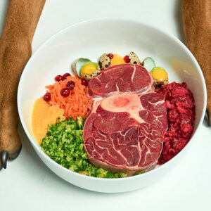 4 ways to select the ideal food for your dog