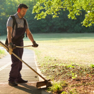 Advantages Of Weed Trimmers