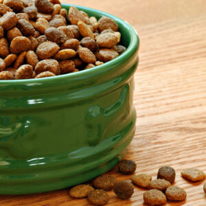 Benefits of Wet Dog Food