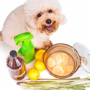 DIY vinegar and baking soda sprays to get rid of fleas on pets