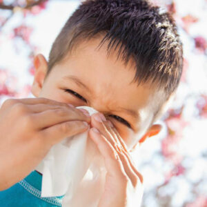 Everything You Need to Know about Mold Allergies