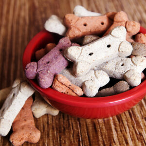 Factors to consider while picking healthy dog food