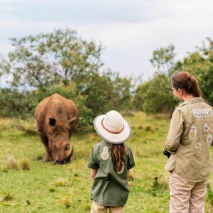 Masai Mara Safari – An Unforgettable Experience