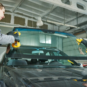 The various windshields for your vehicle