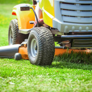 Things to know before hiring a grass cutting service