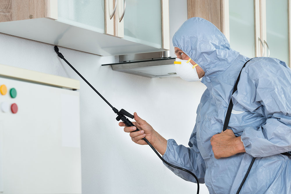 Tips for choosing and use of chemicals for pest control