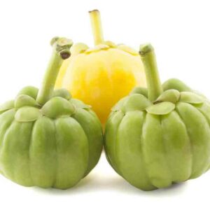 Understanding the benefits of pure garcinia cambogia