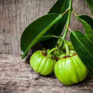 A Brief Overview of Garcinia Cambogia