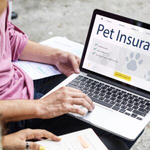 Pet Insurance Companies In India: Protecting Your Furry Friends