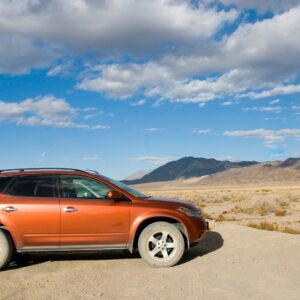 Key Highlights of the Kia Sportage 2024